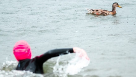 Ask the Expert: Ed Williams on how to prepare for an open water swim