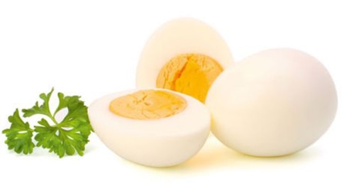 Eggs and working out for swimming training Eggs and working out for swimming training